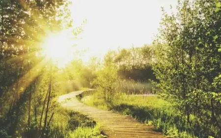 Daylight Saving Time Fuels MAHA vs. MAGA Separation Debate