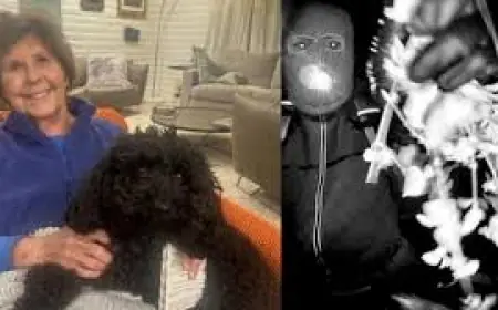 Nancy Guthrie Update Today: FBI Returns Home to Family as Case Enters Month Two With No Suspect