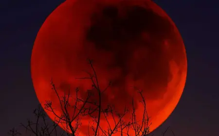 Total Lunar Eclipse Blood Moon Rises Today Over North America in Last Showing Until 2028