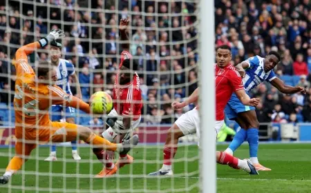Brighton Fc secure 2-1 win over Nottingham Forest as Welbeck nets 10th