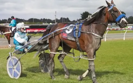 Southland: TV Drama, Vessem’s Cup Win and Tennis Opener