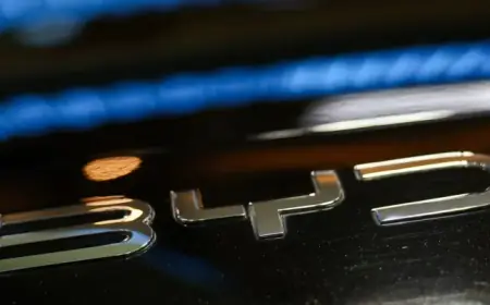 BYD Vehicle Sales Plunge to Pandemic-Low in February