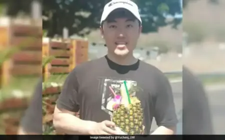 Claude AI Outage Causes 90% Productivity Drop in Silicon Valley, Startup Founder Reports