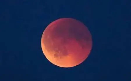 Lunar Eclipse to Be Visible From New York as Local Web Page Is Down Ahead of 'Blood Moon'