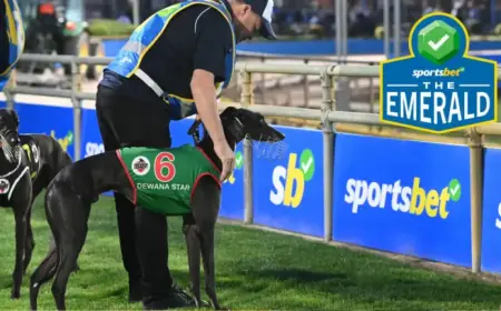 Dewana Star Advances to Sportsbet Emerald Final