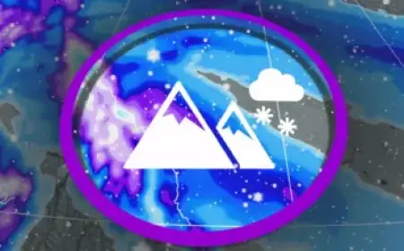 Mayor Allegedly Raped Teen, Ordered ‘Morning After’ Pill via DoorDash