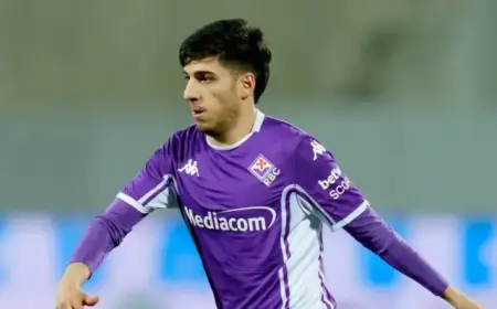 Udinese vs Fiorentina Match Preview: Key Insights and Analysis