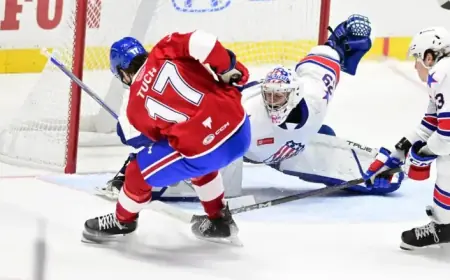 2025-26 Prospect Stock Update: Decline Observed