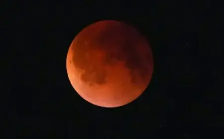 Tomorrow Morning’s Lunar Eclipse Will Paint the Moon Red