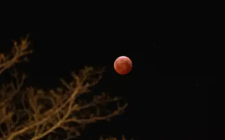 Amateur Astronomer Explains When and Where to See Tuesday’s Blood Worm Moon