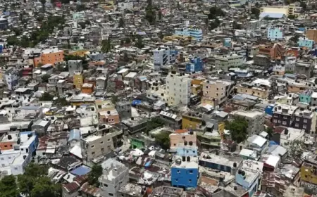 Canadian Tourists in Dominican Republic Bus Crash, Embassy Reports
