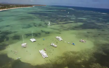 Canadian Tourists Involved in Dominican Republic Bus Crash: Embassy Reports