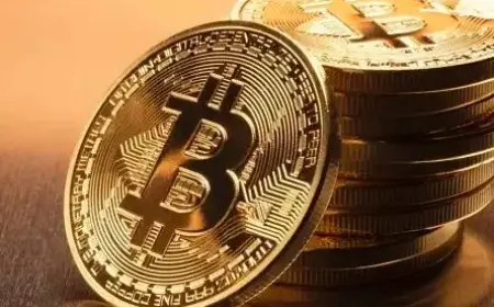 Trump’s Remark Sparks $120M Loss, Boosts Bitcoin Searches, Whale Signals Emerge