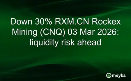 Rockex Mining Faces 30% Drop, Potential Liquidity Risk Looms