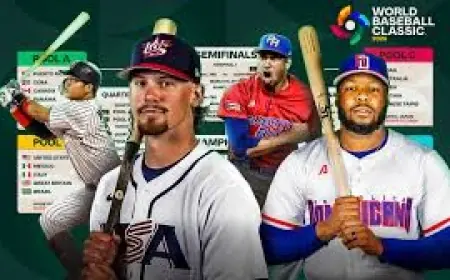 Usa Baseball Roster Access Disrupted by 429 Too Many Requests Error