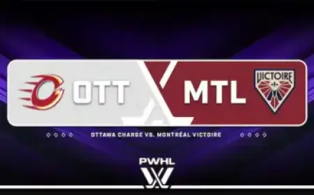 SFU Researchers Revolutionize Prosthetic Design