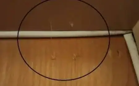 VPD Alerts on Surge of Persistent Break-and-Enter Cases