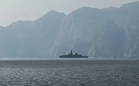 Maintaining Open Strait of Hormuz: Critical High Stakes Involved