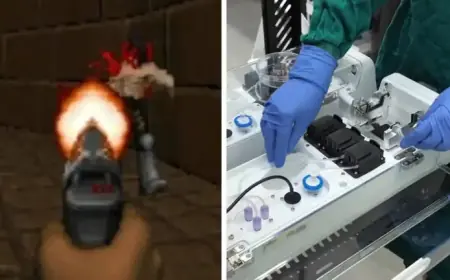 Lab-Grown Brain Cells Master Playing Doom