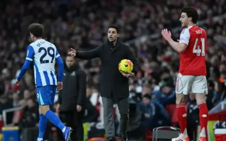 Brighton vs Arsenal: TV Details, Kick-off Time, Live Stream, Referee, Injury Updates