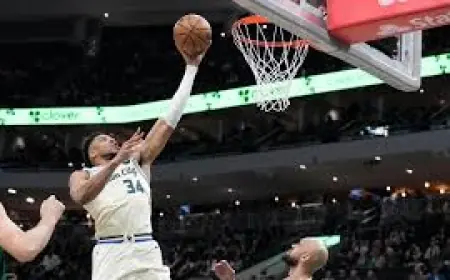 Giannis Antetokounmpo Stats: 19 Points, 11 Rebounds in Return as Celtics Roll 108-81