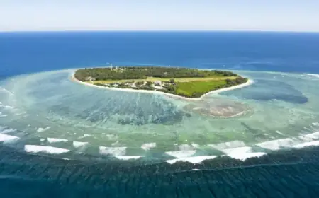 Shark Attacks Man off Queensland Coast