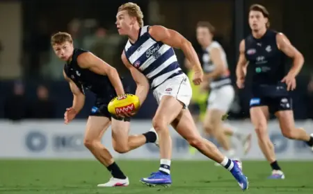 Scott Supports Cat’s AFL Comeback After 17-Month Hiatus