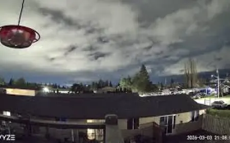 Vancouver sky brightens as NASA confirms fireball seen in WA and B.C.