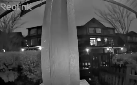 NASA Confirms ‘Fireball’ Meteor Illuminated B.C. Night Sky