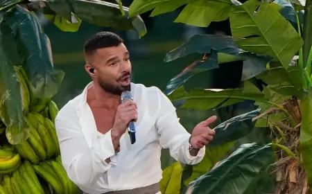 Riki Martin to perform at Belgrade River Fest on June 16