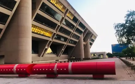 Dallas City Hall Debate: dallas Residents Weigh In Ahead of Council Vote