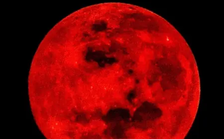 Blood Moon Total Lunar Eclipse Today: Totality Is Over — Stunning Photos and Full Recap of the March 3 Lunar Eclipse