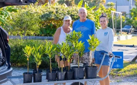 Captiva Island Sees Record-Breaking Mangrove Adoption Season