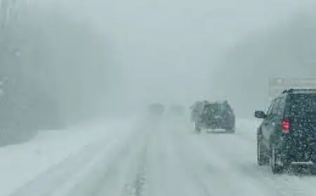 Heavy Snow Warning as 20 Inches Set to Hit Wasatch Mountains