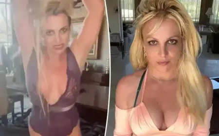 Britney Spears’ Instagram Vanishes Following DUI Arrest