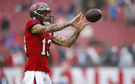 Mike Evans Could Be the Perfect Fit For Josh Allen and the Bills, Analyst Suggests
