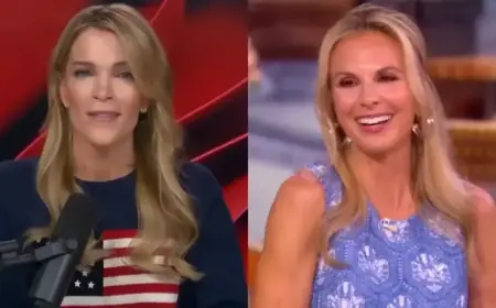 Elisabeth Hasselbeck Faces Criticism on ‘The View’ and Megyn Kelly’s Show