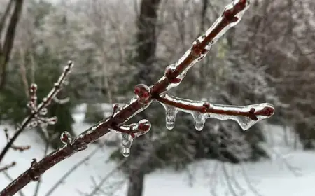 Freezing Rain to Hit Waterloo Region and Guelph Tonight