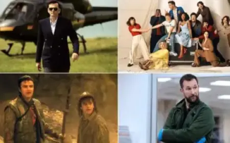 Casey Urges Appointment of Dementia Tzar to Address Urgent Needs