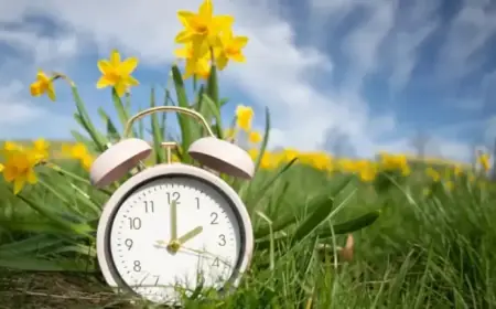 Florida Senator Pushes Bill to Permanently Establish Daylight Saving Time Nationwide