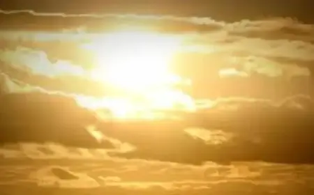 Brisbane Swelters at 31°C Post-Showers Amid Marine Wind Alert