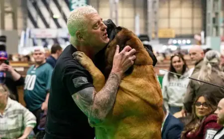 AEW Star Dustin Rhodes’ Mastiff Wins at World’s Largest Dog Show