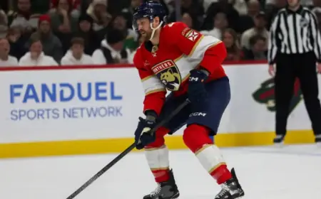 Wild Trade for Jeff Petry in Exchange for Draft Pick