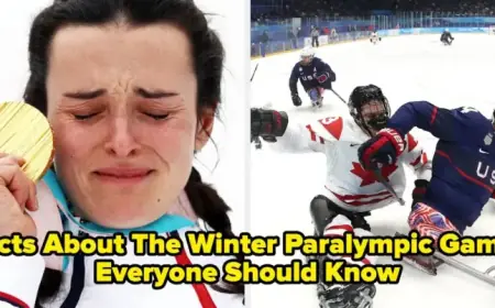 Essential Facts Everyone Should Know About the Winter Paralympic Games