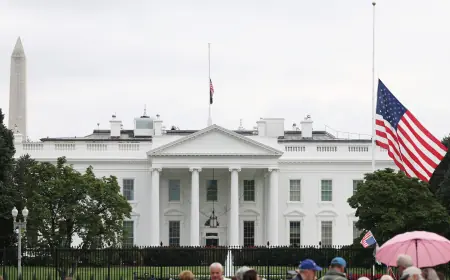 Ufc White House Card reveal imminent as Dana White teases Conor McGregor