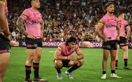 Panther’s Championship Quest Fueled by Previous Setback