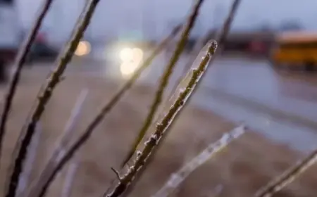 Wmur Closings: Rapid Switches Between Snow, Rain and Freezing Rain Drive Uncertainty for Schools