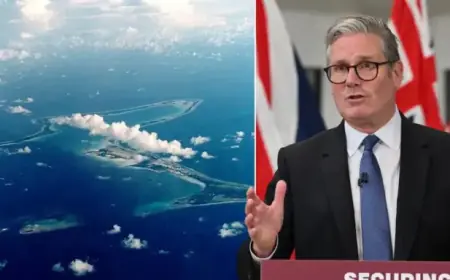 Emily Thornberry Criticizes Labour’s Trans Policy as Misguided