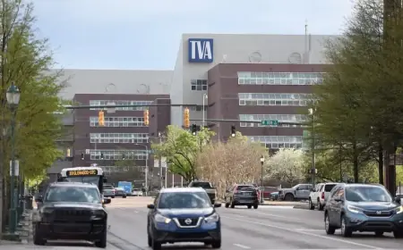 TVA Cuts Executive Role; Experts Claim Potential Benefits of Leadership Turnover