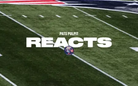 Patriots Fans Surveyed: Who Will Succeed Stefon Diggs?